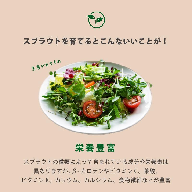 【ブラウン】ベジマジそだてる スプラウト栽培容器 種付き 水耕栽培 おしゃれ 家庭菜園