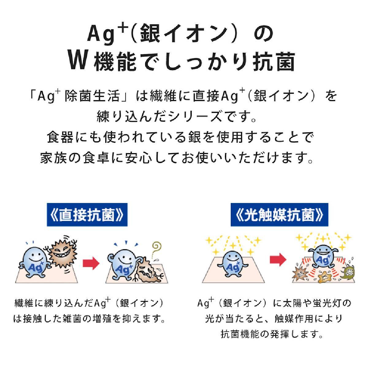 Ag+イヤなニオイのしない 除菌ふきん かや織り 2色 6枚組 銀イオン 食器拭き 台拭き 吸水 抗菌