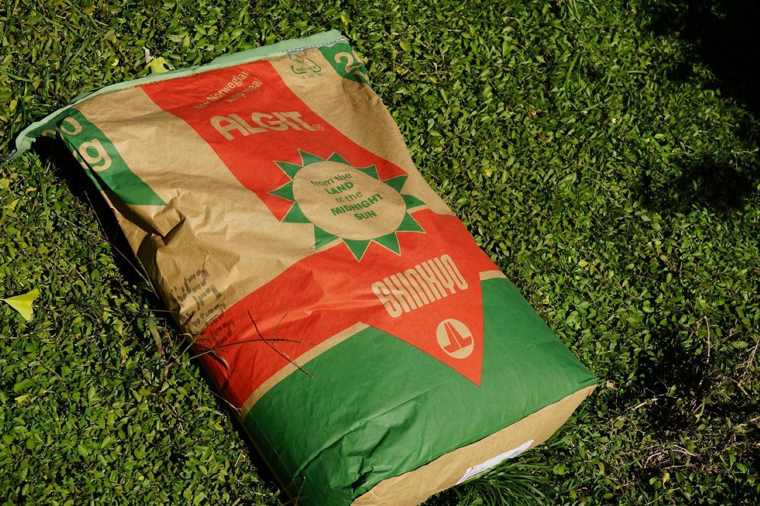 下津蔵出しみかん 約3kg S～Lサイズいずれか 山下農園