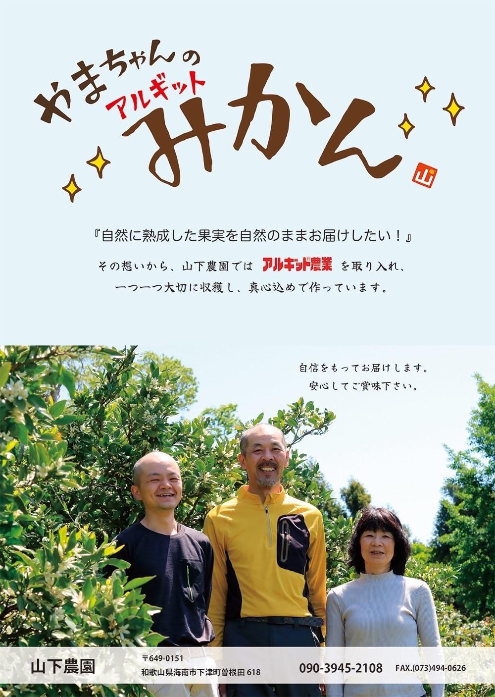 国産 バレンシアオレンジ 約2kg M～LLサイズ 山下農園