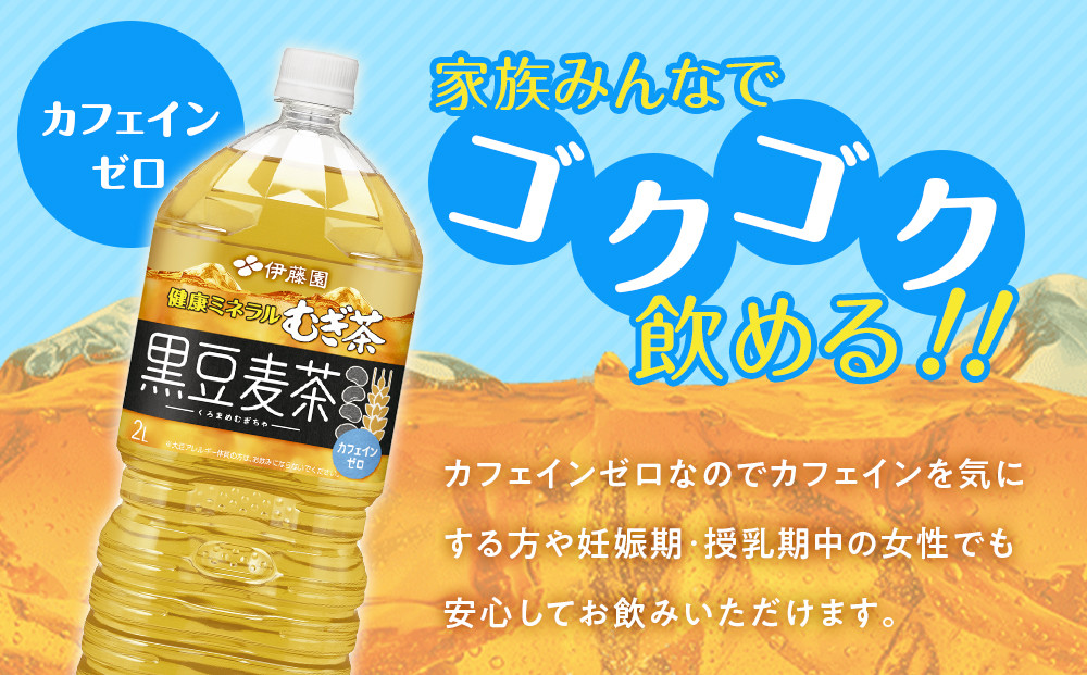 ［定期便 全3回 毎月発送］健康ミネラル麦茶黒豆麦茶 2L×1ケース （6本）