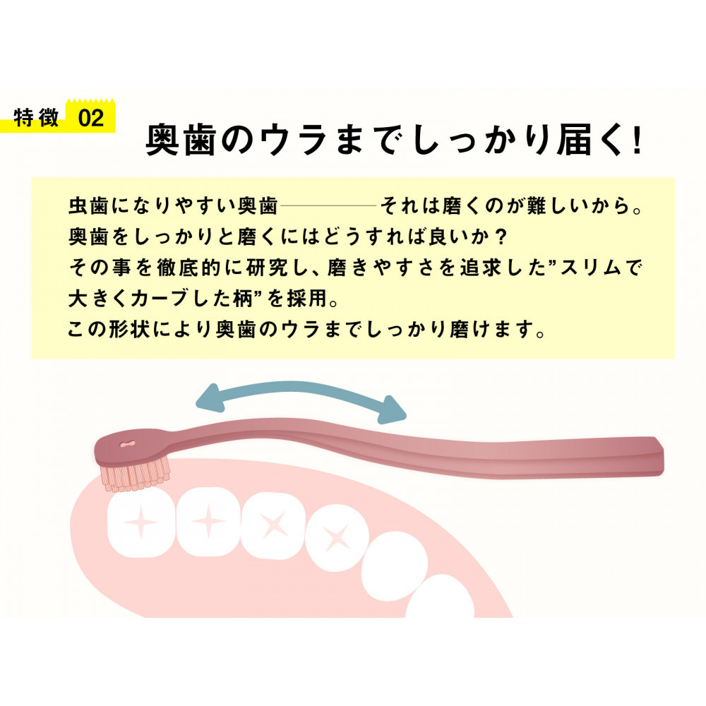 奥歯のウラまでしっかり磨ける 穴の開いた 歯ブラシ 合計12本 （1箱4本入(4色)×3箱 ）