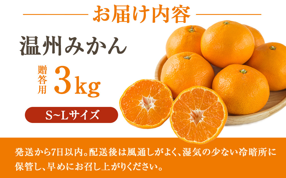 ［先行予約］贈答向け 温州みかん 約3kg S~Lサイズ混合 ［2025年11月下旬頃から順次発送予定］