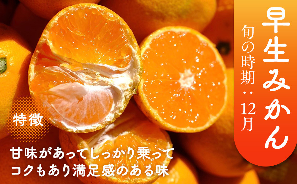 ［先行予約］［訳あり］蔵出しみかん（晩生みかん）S〜Lサイズ混合 5kg＋300g（傷み補償分）［2026年1月上旬より発送］