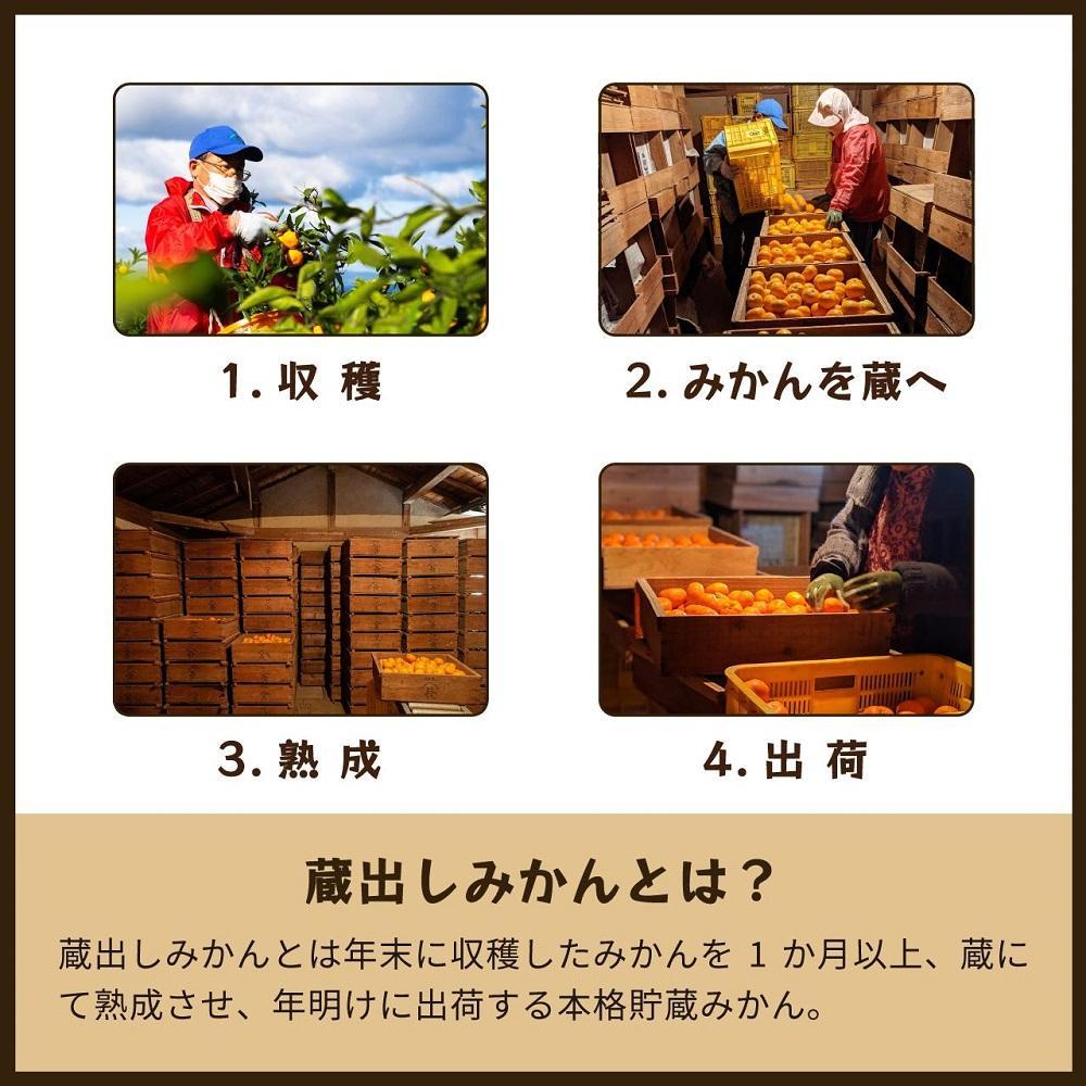 【定期便全12回】蔵出しみかんジュース｜和歌山県海南市下津町産の高級100%ストレートジュース