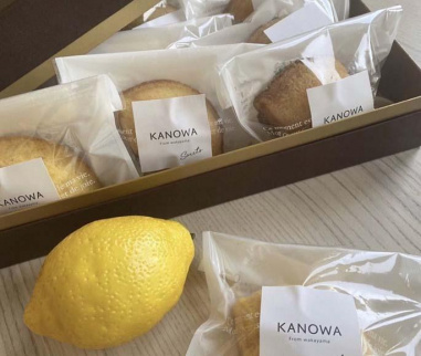 和歌山レモンケーキ スタンダード（12個入）