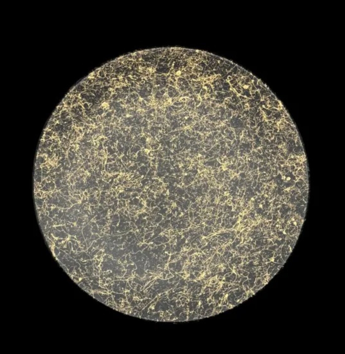 丸小皿 乱糸(マット仕上げ) 5枚セット