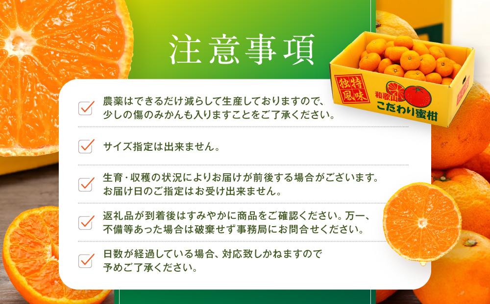うまみ際立つ 蔵出しみかん サイズ混合 10kg