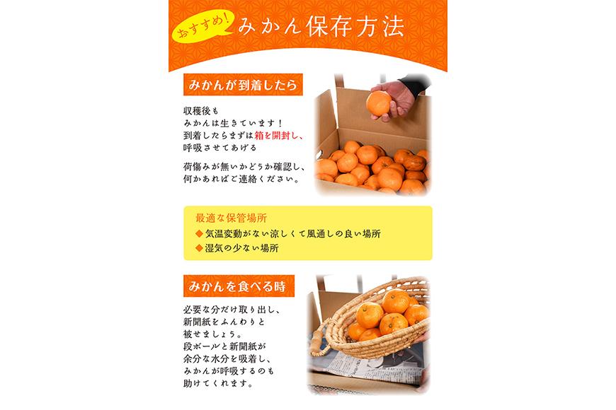 訳あり みかん 早生みかん 5kg 混合サイズ 和歌山県海南市鈴木農園より直送 みかん ミカン 蜜柑 mikan 温州みかん 海南みかん 下津みかん しもつみかん 温州みかん 訳アリ 訳あり品 訳有り わけありみかん