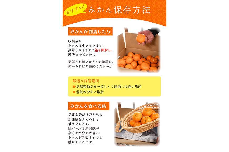 早生みかん（希少な小粒２S～３Sサイズ）5ｋｇ混合11月中旬～12月下旬頃に鈴木みかん農園より農園直送 3Sサイズ 2Sサイズ ２S SS 小玉 小さい※北海道・沖縄・離島への配送不可　ミカン　蜜柑　mikan　温州みかん 温州ミカン　わけあり　訳アリ