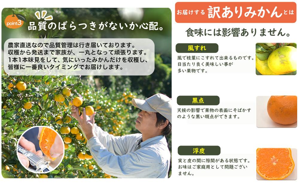 蔵出しみかん5kg大小混合サイズ 訳あり【下津の蔵出しみかん】1月から2月発送で昔ながらのみかん鈴木農園より産地直送｜家庭用 訳ありみかん ｜1月以降が旬の酸味もおいしい蔵出しみかん ※北海道・沖縄・離島への配送不可
