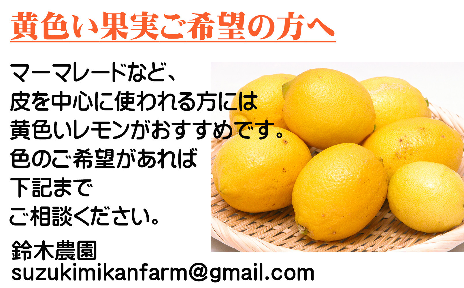 レモン 約3kg 大小混合サイズ 11月～2月に鈴木みかん農園より農園直送！ 青いレモン 黄色いレモン ※北海道・沖縄・離島への配送不可