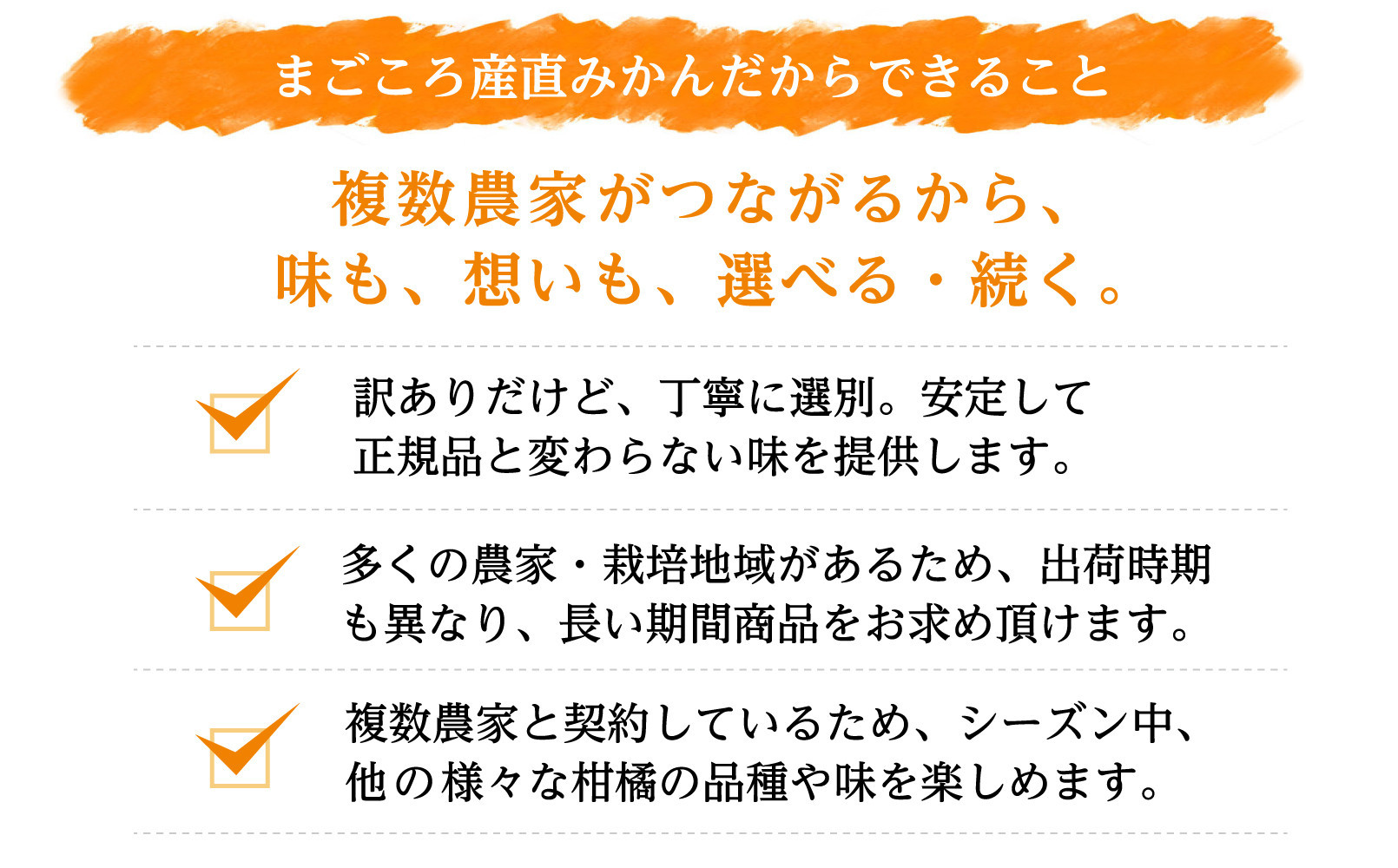 蔵出しみかん 7.5kg 混合サイズ 訳あり 1月～3月発送 和歌山県産 農園直送 まごころ産直みかん ［北海道・沖縄県・一部離島 配送不可］ ミカン 蜜柑 Mikan 温州みかん 温州ミカン わけあり 訳アリ ちょっと訳あり くらだし くらだしみかん 下津の蔵出しみかん