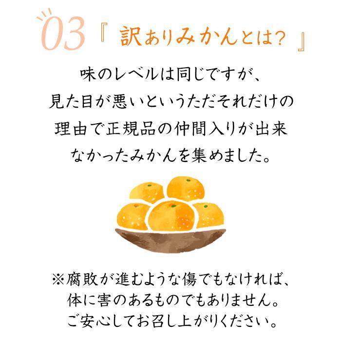 早生みかん 約7kg 大玉 2L・3Lサイズおまかせ 《ご家庭用》 ちょっと訳あり 和歌山県産 農園直送 まごころ産直みかん 【北海道・沖縄県・一部離島 配送不可】大きい 蜜柑 温州みかん わけあり 訳アリ［Mg50］