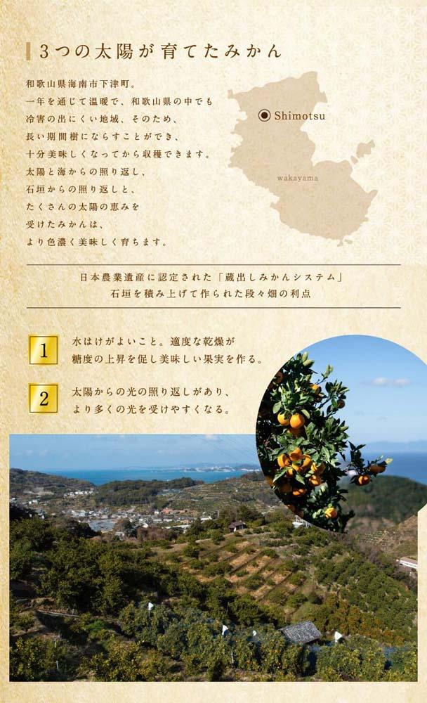 不知火 約3kg 大玉9～11玉入り 《赤秀》 和歌山県産 農園直送 まごころ産直みかん 【北海道・沖縄県・一部離島 配送不可】 みかん 果物 柑橘 しらぬい デコポンと同じ品種 でこぽん