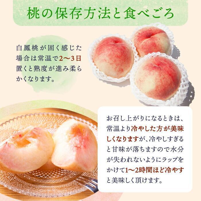 和歌山県産 白鳳 桃 5～8玉入り 秀品 先行予約［2026年6月下旬以降発送］［MG6］