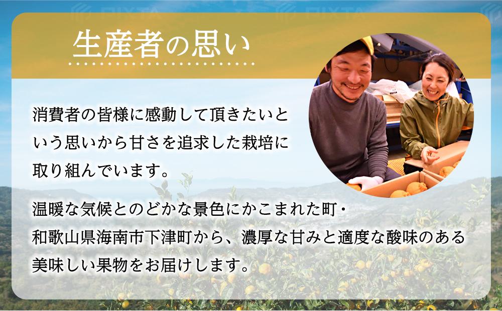 ※ANA公開しない2024年11月受付再開時 事業者様より※