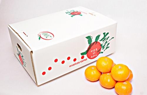 ［先行予約］完熟早生みかん 家庭用 約2kg サイズ混合