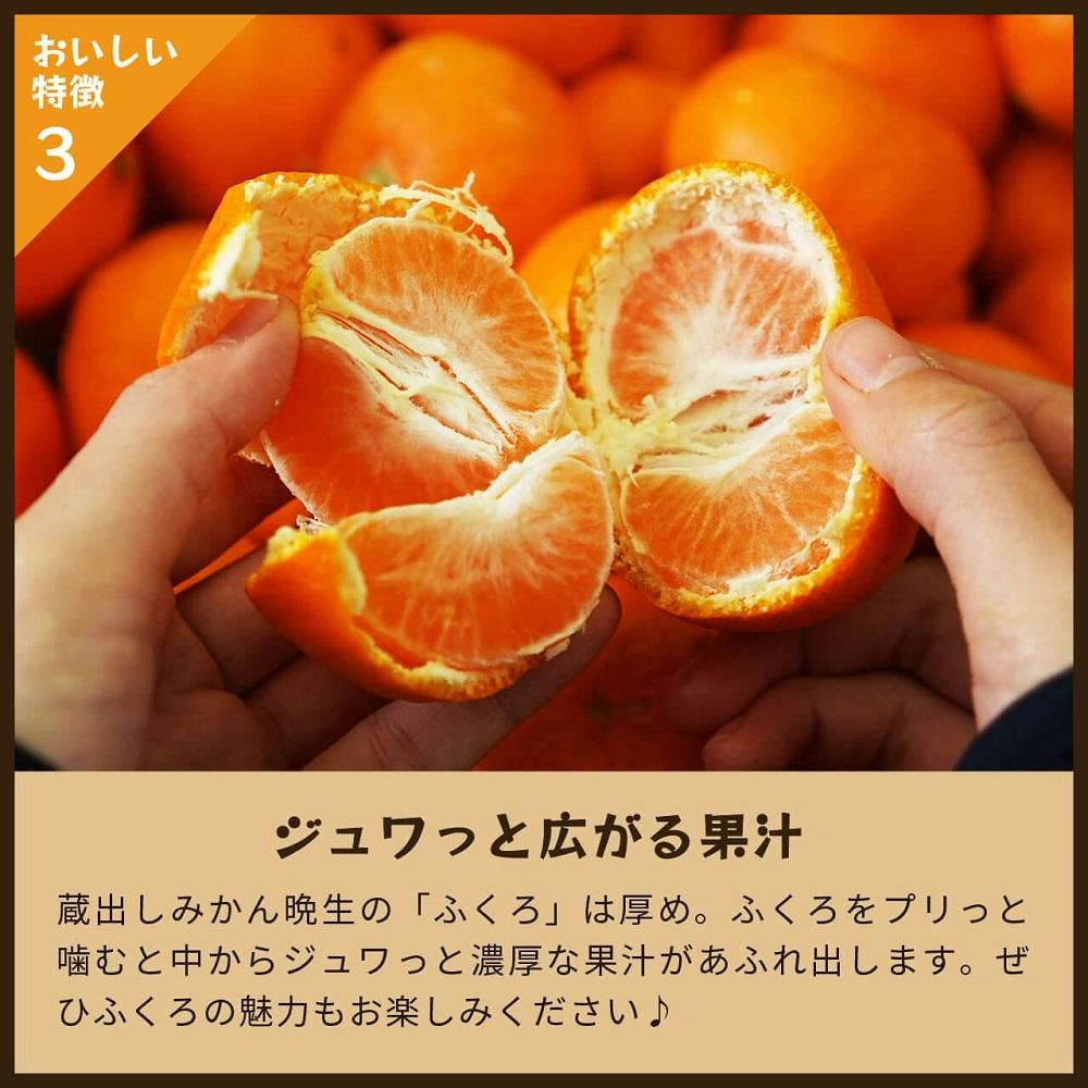 蔵出しみかん晩生　5kg家庭用｜和歌山県海南市下津町の特産品蔵出しみかんの晩生品種【2026年1月発送開始】