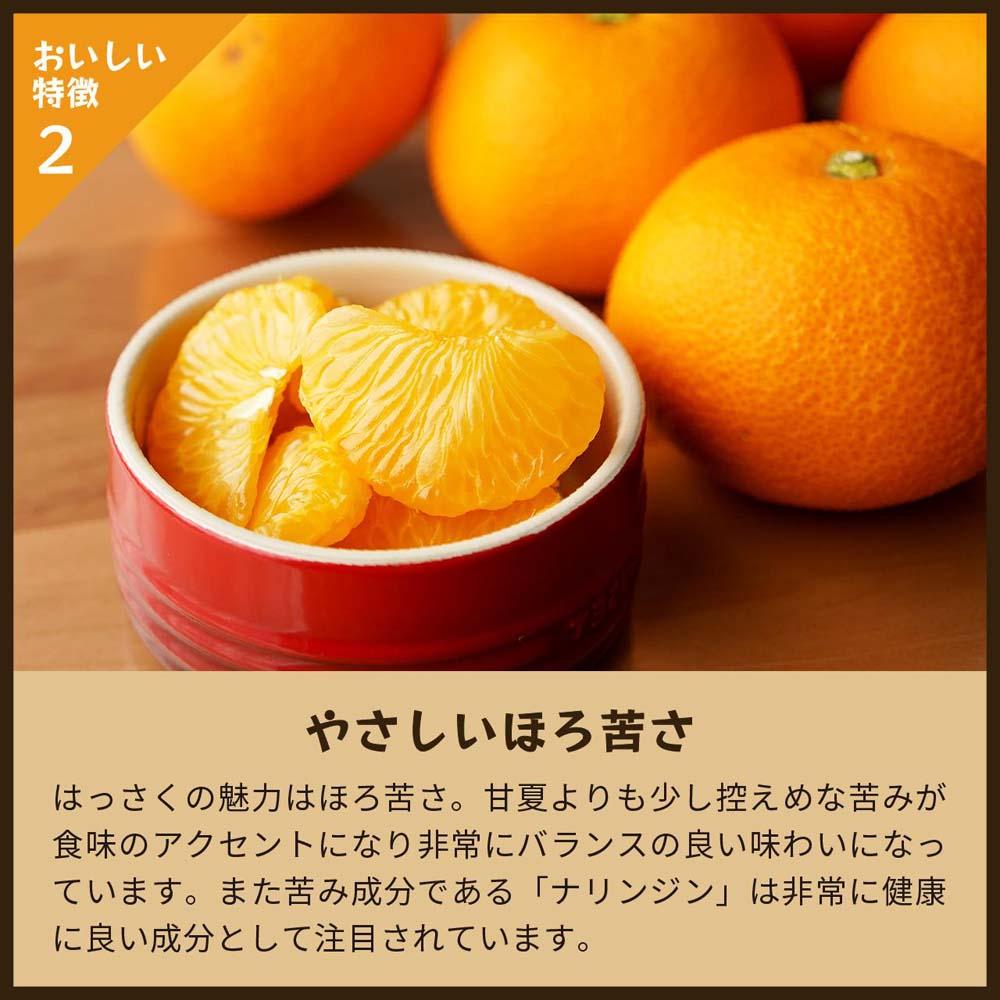 八朔ページ 八朔｜和歌山県海南市から産地直送でお届け｜4kg｜ご家庭用【2026年4月