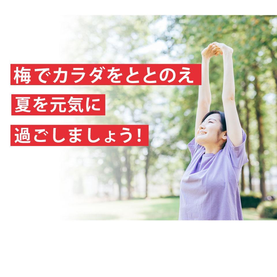 梅エキス 紀州の赤本純正70g【元気ノ国】