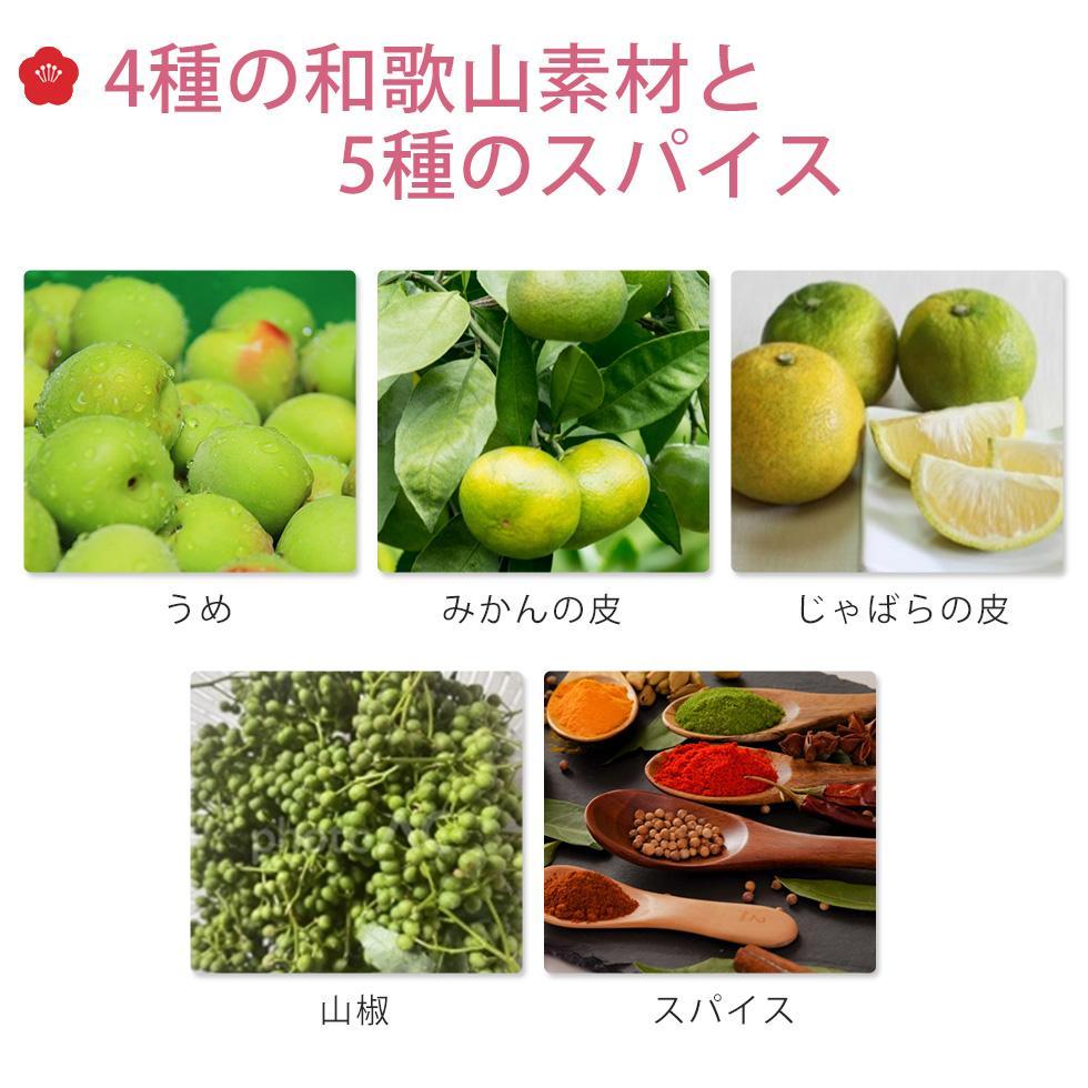 IKORA-行楽- 215g 飲料 ドリンク 食品