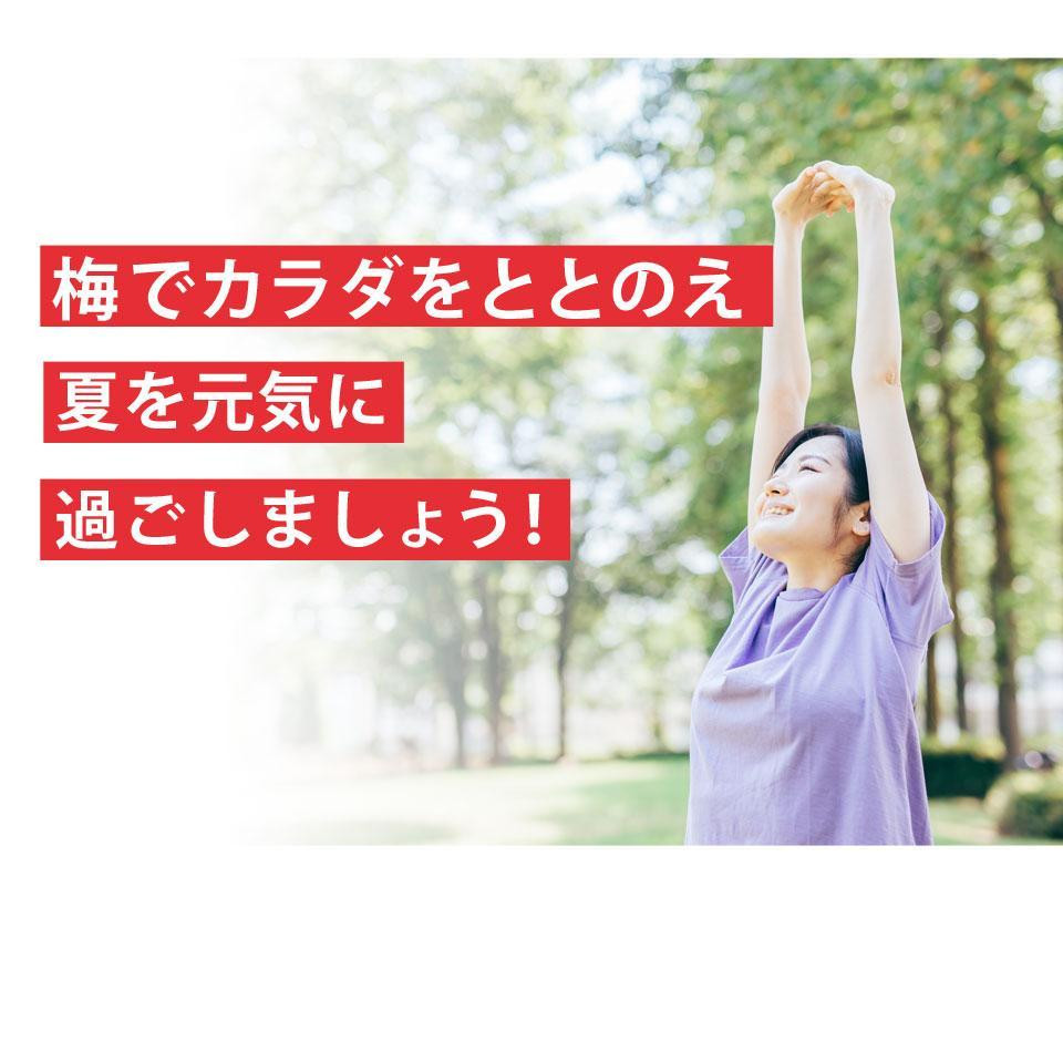 梅エキス 紀州の赤本純正【元気ノ国】70g×3個セット