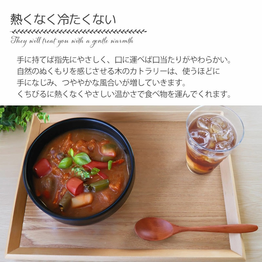 みよし漆器本舗 天然木製 カレースプーン 食洗機対応 18cm 5本セット 木製 紀州PROコート 白木