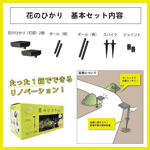 75694000 ひかりノベーション SUNCHARGE 花のひかり