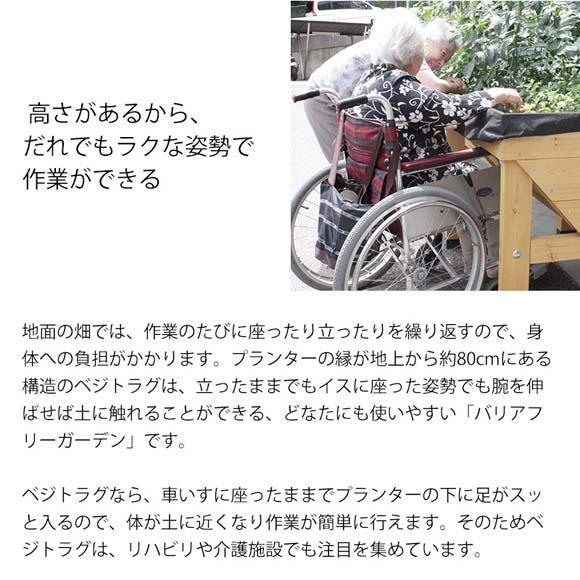 57928000 ホームベジトラグ ウォールハガー S ナチュラル