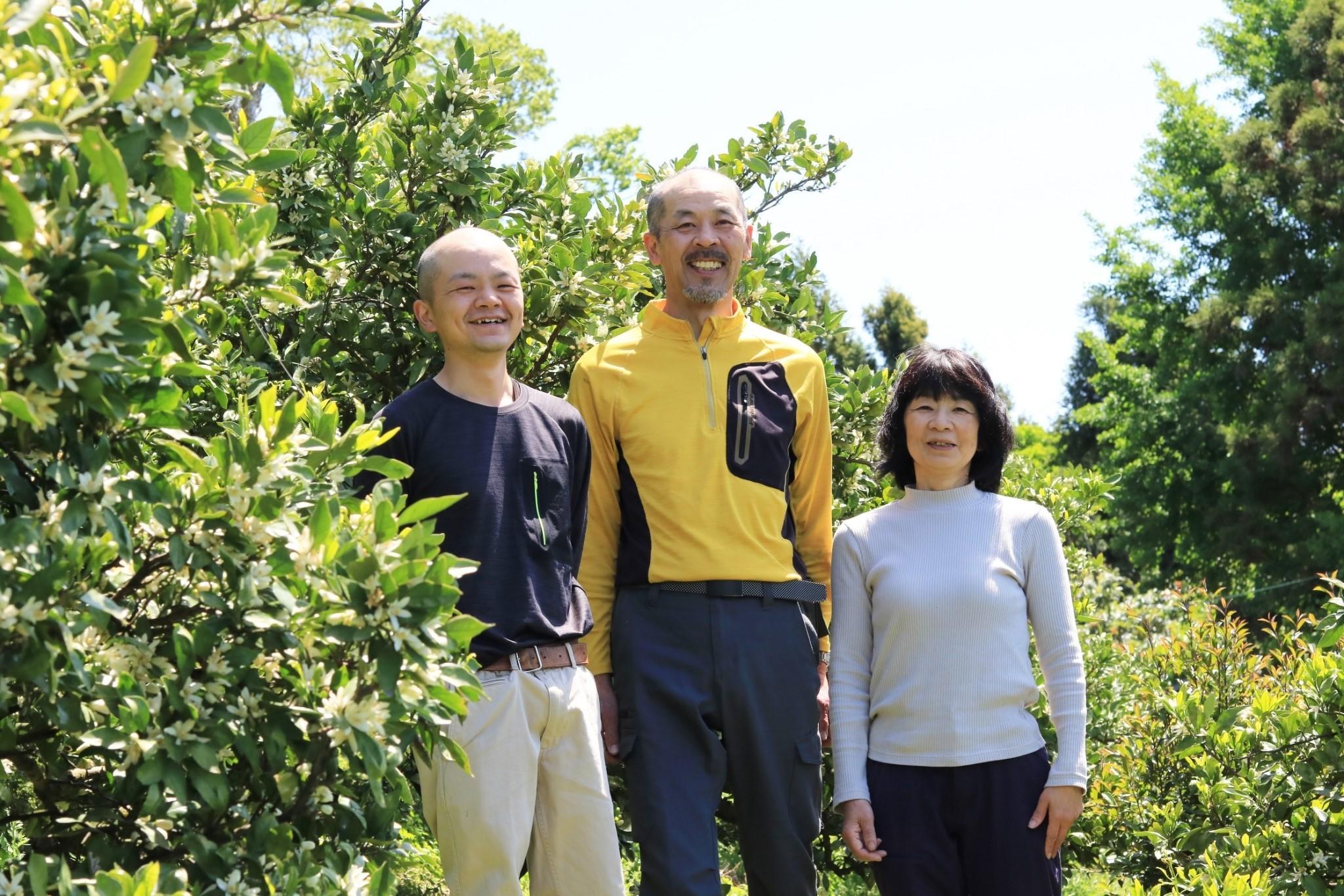 樹上完熟早生みかん 約3kg サイズ混合 山下農園