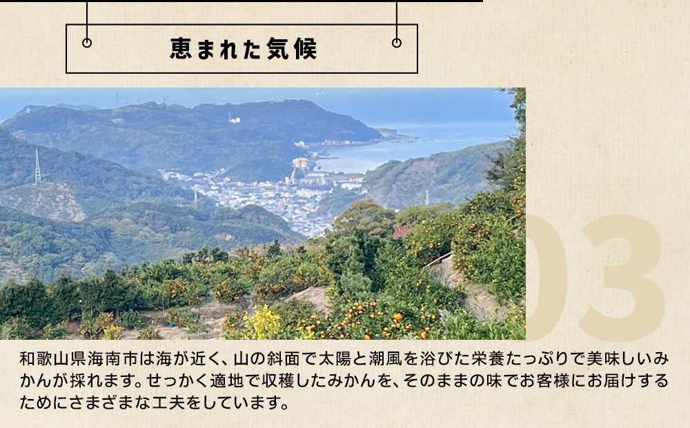 和歌山県産 下津蔵出しみかん 家庭用 3kg (サイズおまかせSまたはMのいずれか) 農家直送 手選別