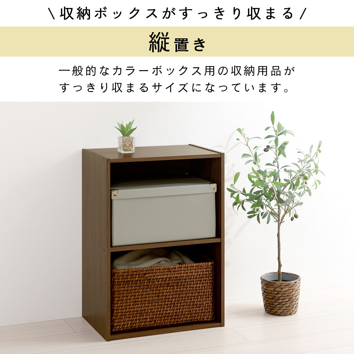 【完成品でお届け】カラーボックス〔2段〕（ウォールナット）カラーボックス 2段 横置き a4 奥行30cm 幅40cm 高さ60cm ミニ 本棚 大容量 おしゃれ 収納棚 収納ボックス ロータイプ コミック 漫画 雑誌 ランドセル 収納ラック 押入れ オープンラック AKANBR920135-0-WAL