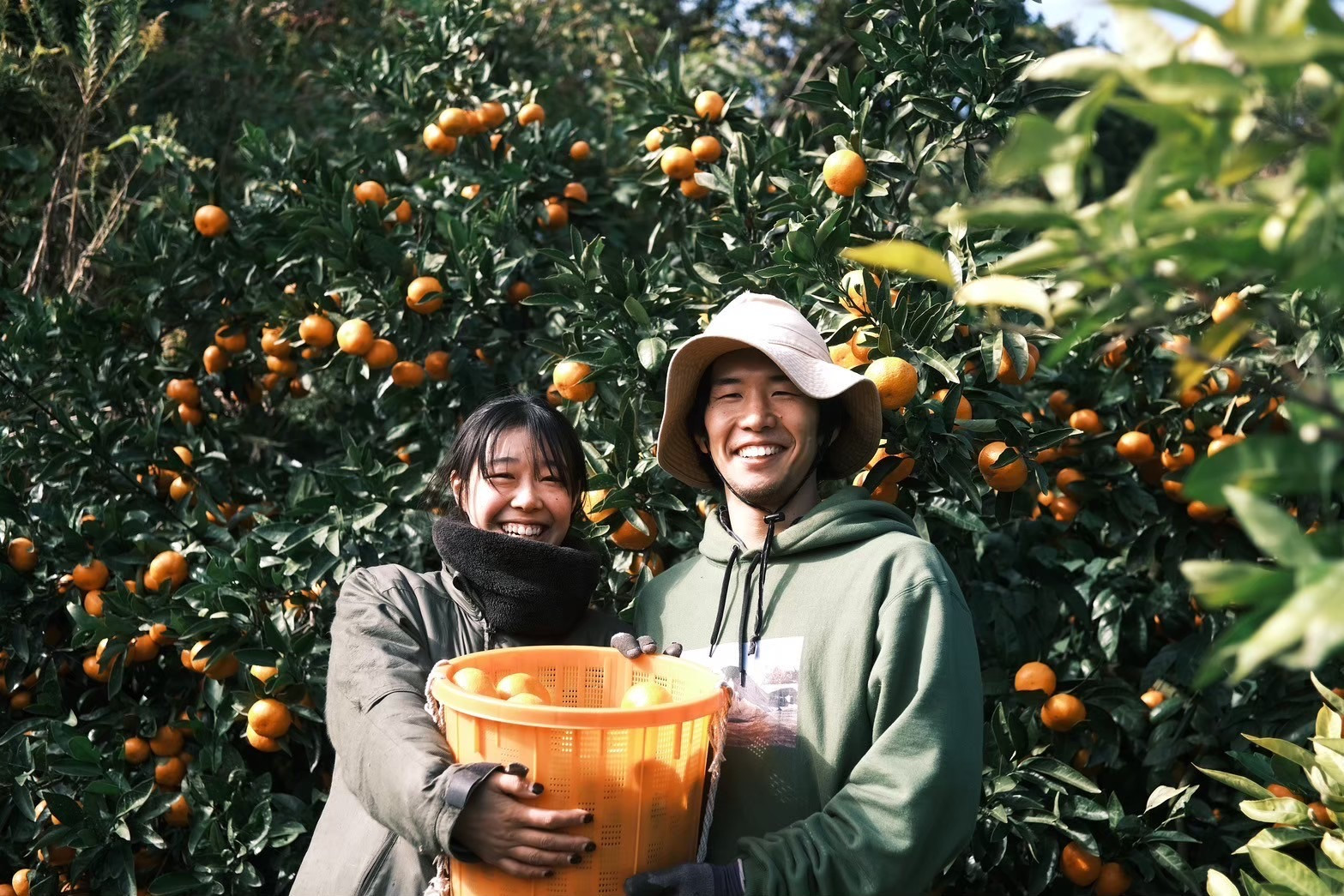 ［先行予約］［贈答用］蔵出しみかん（晩生みかん）S〜Lサイズ混合 2kg＋200g（傷み補償分）［2026年1月上旬より発送］
