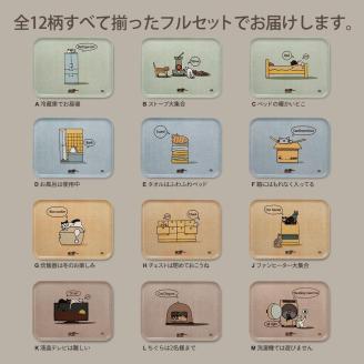 ネコダラトレイM角サイズ 12枚全柄セット ネコだらけ 猫グッズ
