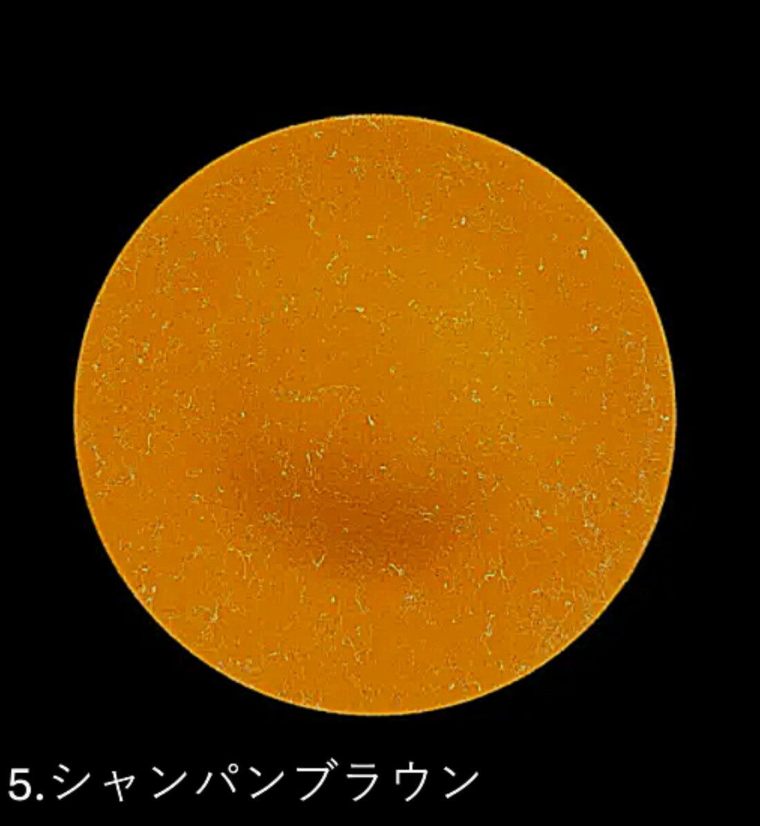 フラットプレート(D) 乱糸(マット仕上げ)シャンパンブラウン