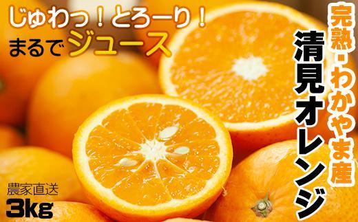 清見オレンジ 3kg【和歌山の清見オレンジ】3月下旬から4月下旬に和歌山県海南市鈴木農園より農園直送 ※北海道・沖縄県・一部離島 配送不可｜清見 きよみ キヨミ 清見オレンジ 清見タンゴール 和歌山県海南市産 和歌山県 海南市 鈴木農園 ふるさと納税