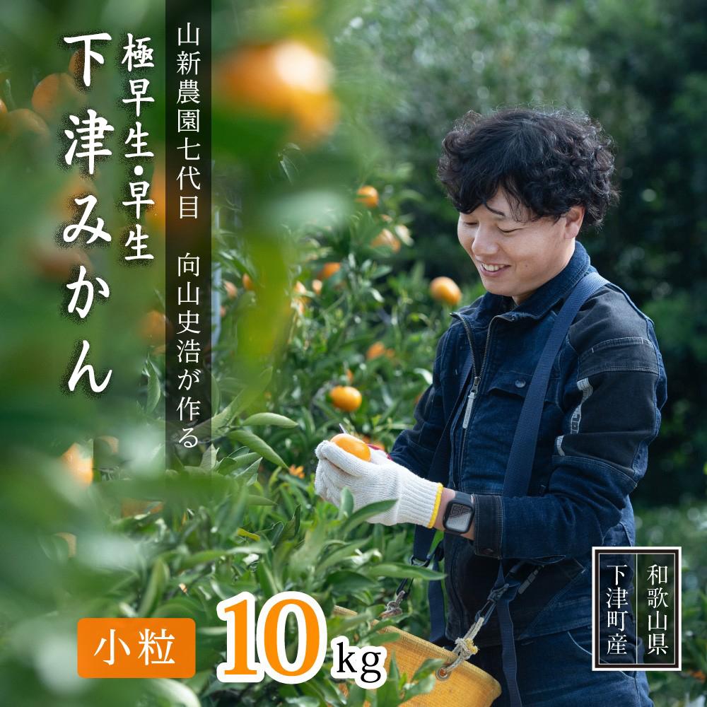 極早生 or 早生みかん約10kg 小粒SS・Sサイズおまかせ《秀品》 和歌山県産 山新農園 農園直送 まごころ産直みかん［北海道・沖縄県・一部離島 配送不可］ SSサイズ 2S 小玉 蜜柑 果物