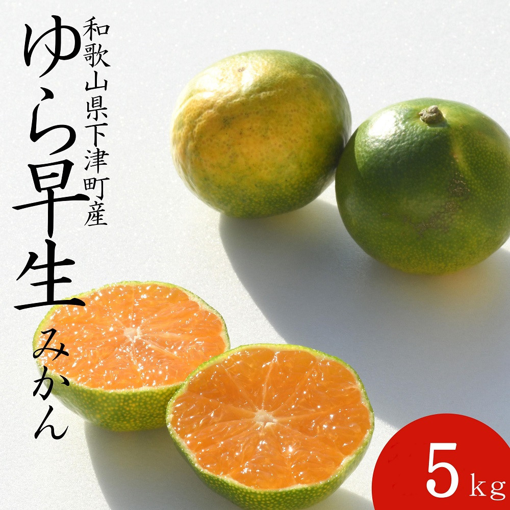 【極早生みかん】ゆら早生みかん 5kg 小粒サイズ（2S・3S） 和歌山県海南市産 産地直送【訳あり】　   