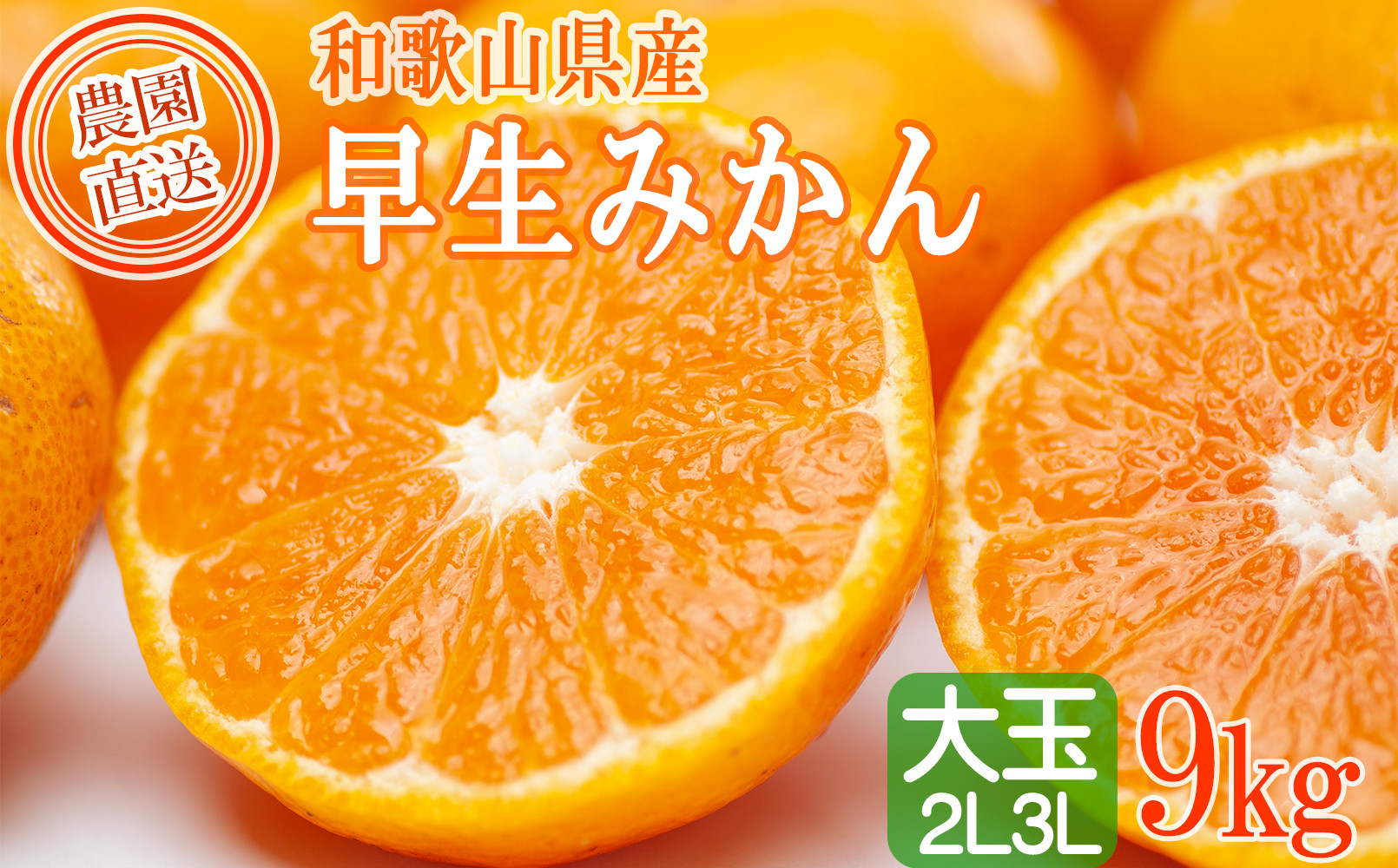 早生みかん 約9kg 大玉 2L・3Lサイズおまかせ 《ご家庭用》 ちょっと訳あり 和歌山県産 農園直送 まごころ産直みかん 【北海道・沖縄県・一部離島 配送不可】大きい 蜜柑 温州みかん わけあり 訳アリ［Mg51］