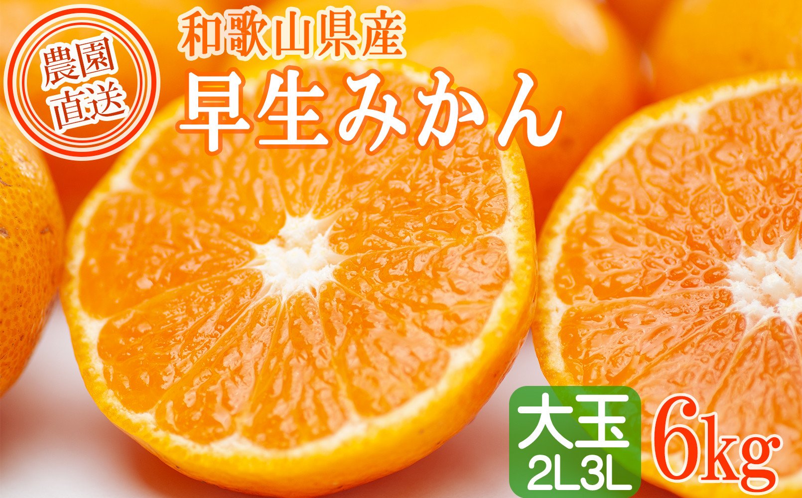 早生みかん 約6kg 大玉 2L・3Lサイズおまかせ 《ご家庭用》 ちょっと訳あり 和歌山県産 農園直送 まごころ産直みかん 【北海道・沖縄県・一部離島 配送不可】大きい 蜜柑 温州みかん わけあり 訳アリ ［Mg60］