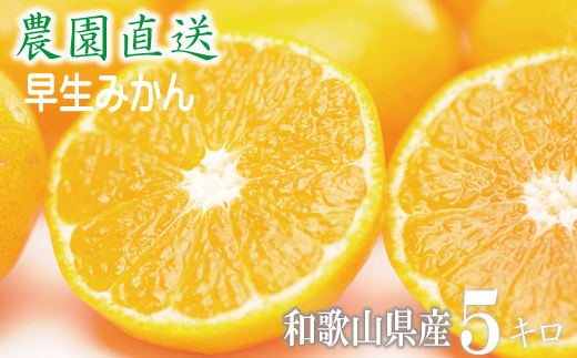 早生みかん 約5kg 大小混合 《ご家庭用》 和歌山県産 農園直送 まごころ産直みかん 【北海道・沖縄県・一部離島 配送不可】ちょっと訳あり ミカン 蜜柑 温州みかん わけあり 訳アリ 和歌山みかん 下津みかん 和歌山ミカン しもつみかん mikan