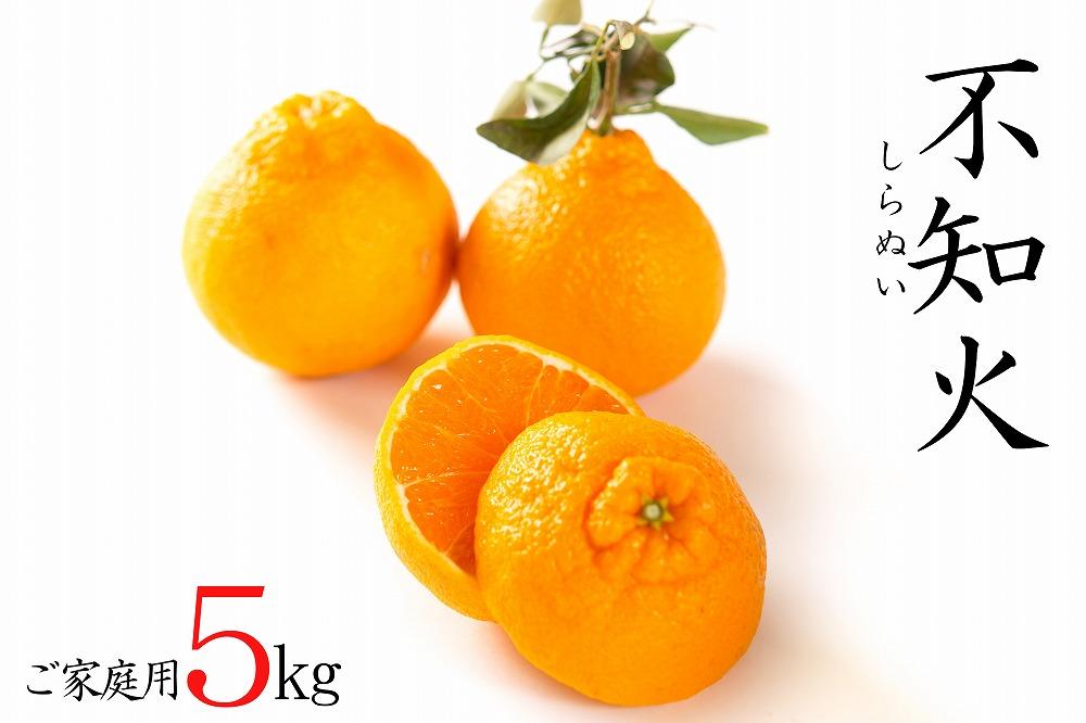 不知火約5kg 15～24玉入り 《ご家庭用》 訳あり 和歌山県産 農園直送 まごころ産直みかん【北海道・沖縄県・離島配送不可】みかん 柑橘 しらぬい デコポンと同じ品種