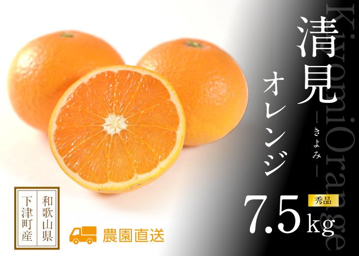 清見オレンジ 約7.5kg M・L・2L・3Lサイズおまかせ 《赤秀》 和歌山県産 農園直送 まごころ産直みかん 【北海道・沖縄県・一部離島 配送不可】みかん きよみ 清見タンゴール きよみ 清美 贈答