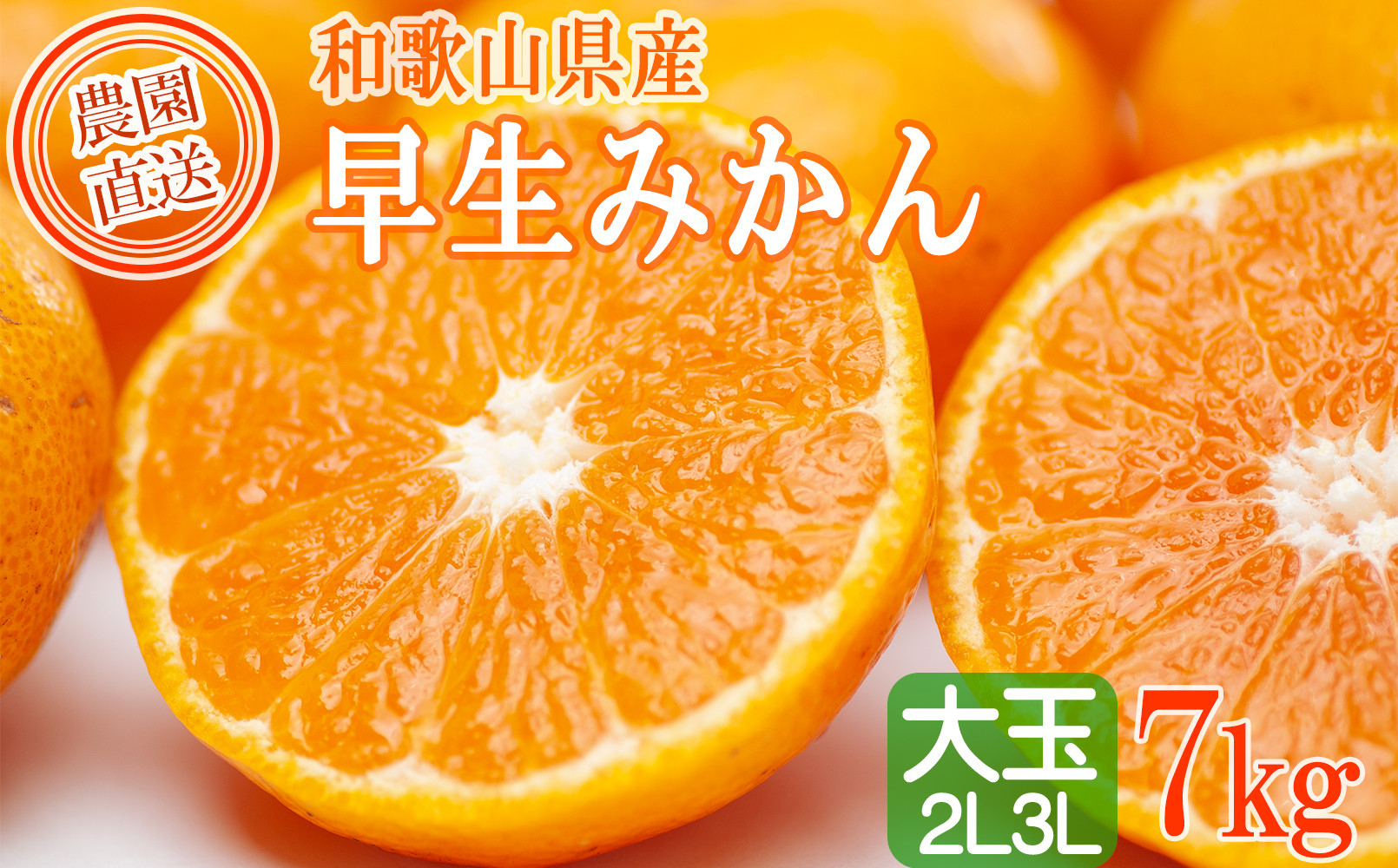 早生みかん 約7kg 大玉 2L・3Lサイズおまかせ 《ご家庭用》 ちょっと訳あり 和歌山県産 農園直送 まごころ産直みかん 【北海道・沖縄県・一部離島 配送不可】大きい 蜜柑 温州みかん わけあり 訳アリ［Mg50］