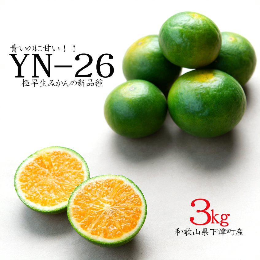 ＜9月より順次発送＞厳選！極早生みかん 3kg（2S・S・Mサイズ）【YN26 ゆら早生  和歌山 ミカン 蜜柑 果物 フルーツ 贈答用 少量サイズ 】