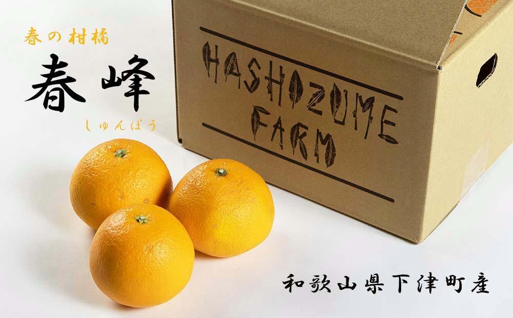 春峰 約3kg L・2L・3Lサイズおまかせ 《赤秀》 和歌山県産 農園直送 まごころ産直みかん 【北海道・沖縄県・一部離島 配送不可】 しゅんぽう 清見 水晶文旦 春 果物 柑橘【Mg4】