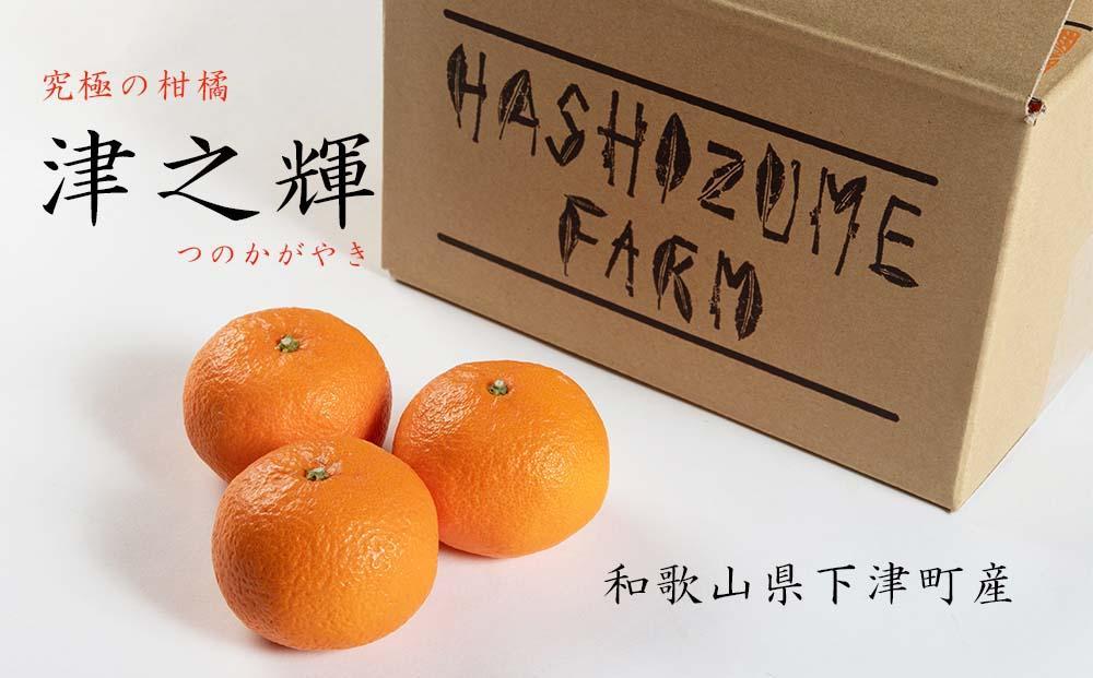 津之輝 約3kg S・M・Lサイズおまかせ 《赤秀》 和歌山県産 農園直送 まごころ産直みかん 【北海道・沖縄県・一部離島 配送不可】 つのかがやき 津の輝き 春 柑橘 果物 みかん オレンジ【Mg6】