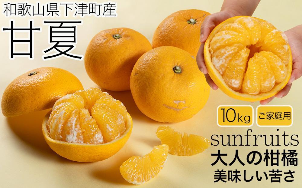 甘夏 約10kg 大小混合 《ご家庭用》 和歌山県産 農園直送 まごころ産直みかん 【北海道・沖縄県・一部離島 配送不可】サンフルーツ 新甘夏 田ノ浦オレンジ あまなつ みかん【Mg10】