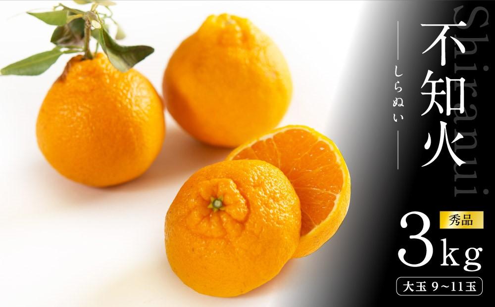 不知火 約3kg 大玉9～11玉入り 《赤秀》 和歌山県産 農園直送 まごころ産直みかん 【北海道・沖縄県・一部離島 配送不可】 みかん 果物 柑橘 しらぬい デコポンと同じ品種 でこぽん
